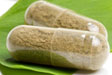 ginkgo-supplement