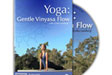 yoga-vinyasa-su