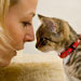 girl-cat-looking