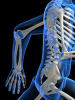 bone-density-breast-cancer
