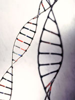 genes-dna-breast-cancer