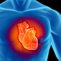 heart-chest-cholesterol