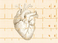 heart-electrocardiogram