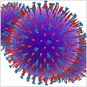 What Is the Flu?