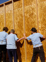 volunteer