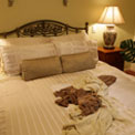 calm-quiet-bedroom