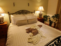 calm-quiet-bedroom