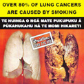 new-zealand-warning