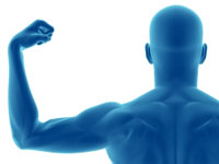 blue-viagra-muscle-man