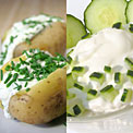 sour-cream
