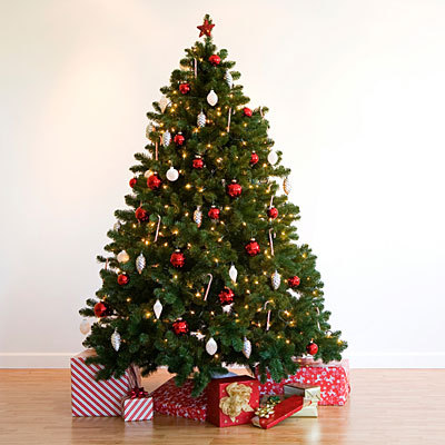 christmas trees allergy triggers health com christmas trees allergy triggers health com
