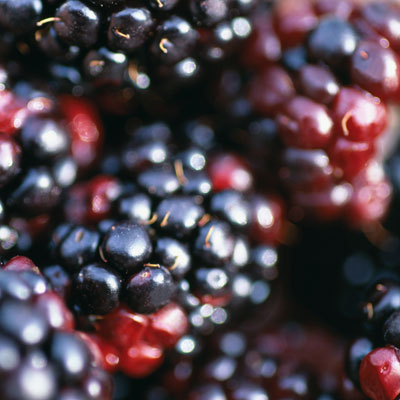 berries-phytonutrients-fight-cancer