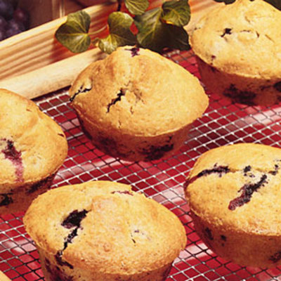 Recipes Diabetic on Blueberry Muffins   20 Tasty Diabetic Friendly Recipes   Health Com