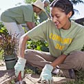 bluezone-stay-active-garden
