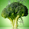 broccoli-fights-cancer