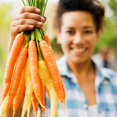 bunch-carrots-farm