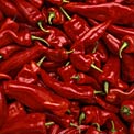 chili-peppers