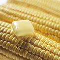corn-digestive