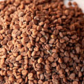fenugreek