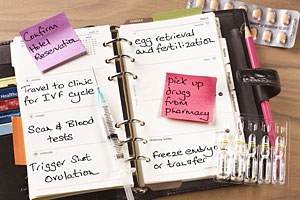 fertility-treat-calendar