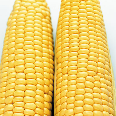 fiber-corn-cob