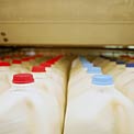 gallon-milk-store