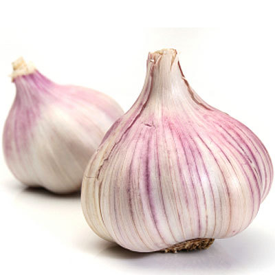 garlic