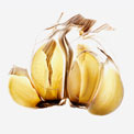 garlic-fight-cancer