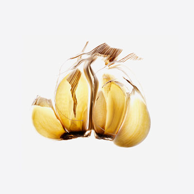 garlic-fight-cancer