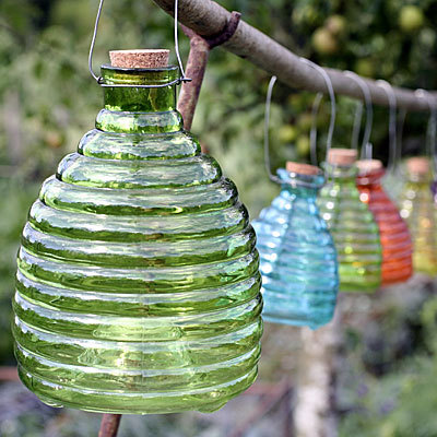 glass-wasp-jars-400x400.jpg