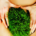 grass-pubic-hair