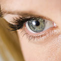 healthy-eyelash-bed