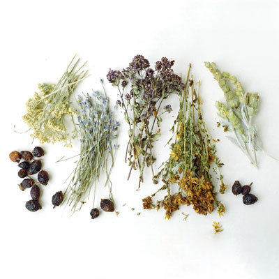 Alternative Medicine And Herbal