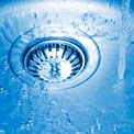 sink-food-bacteria