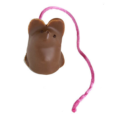 chocolate-mouse