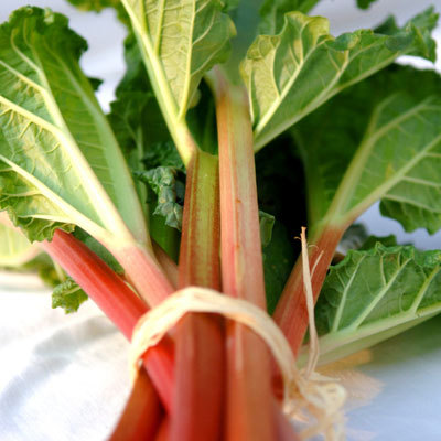 rhubarb