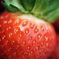 strawberry-seeds-crohns