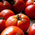 tomatoes-lycopene-cancer