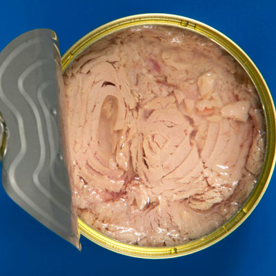 tuna-can-above