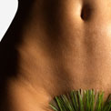 vaginal-grooming-trends