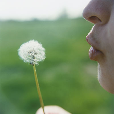 woman-outside-dandelion