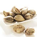 clams