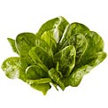 spinach