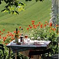 france-petit-aperitif