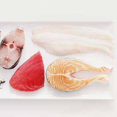 fish-groups