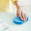 germs-kitchen-sponge