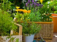 garden-tools-you-need