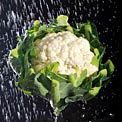 cauliflower-hydrating-food