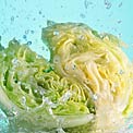 lettuce-hydrating-food