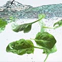spinach-hydrating-food